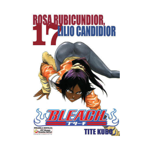 Bleach, tom 17