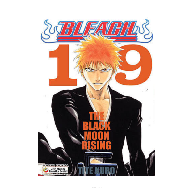 Bleach, tom 19