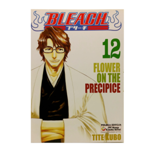 Bleach, tom 12