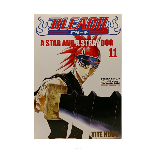 Bleach, tom 11