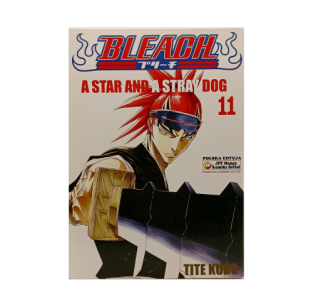 Bleach, tom 11