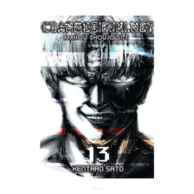 Czarodziejki.net, tom 13