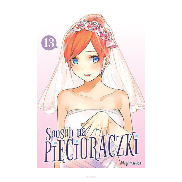 Sposób na pięcioraczki, tom 13