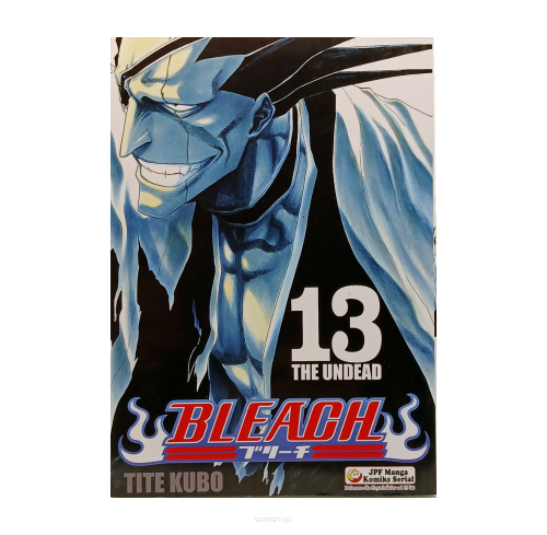 Bleach, tom 13