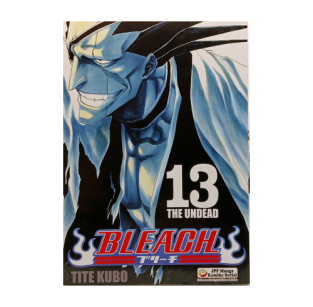Bleach, tom 13