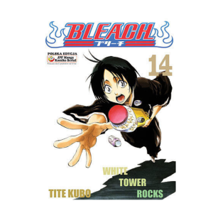 Bleach, tom 14